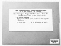 Image Associated With the Occurence